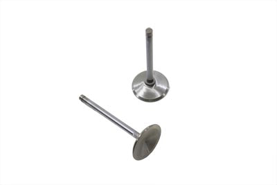 Stainless Steel Intake Valves