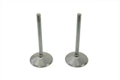 Stainless Steel Intake Valves