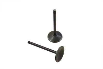 Nitrate Intake Valves