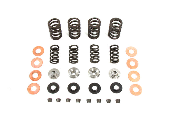 Valve Spring Kit